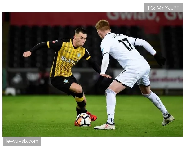 挪威队剑指2026世界杯：青春风暴与团队实力共铸新希望