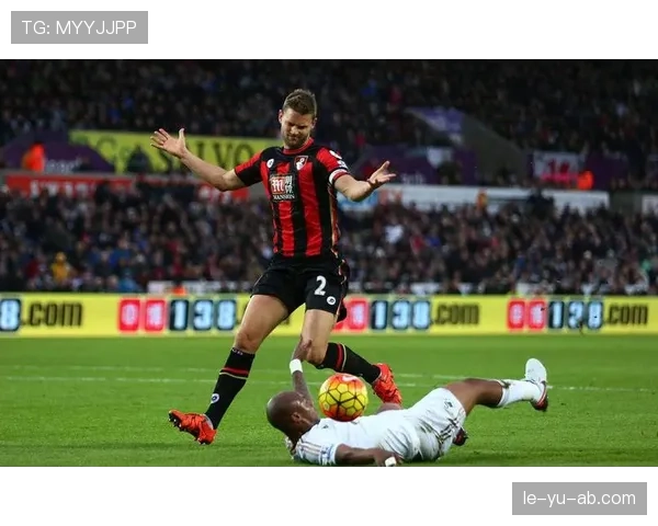 达姆斯高闪耀布伦特福德，出色表现助球队重燃希望