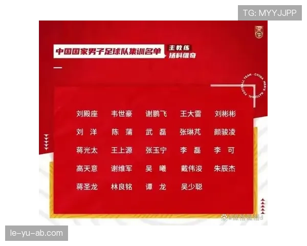 捷克队冲击世界杯出线资格路线图出炉